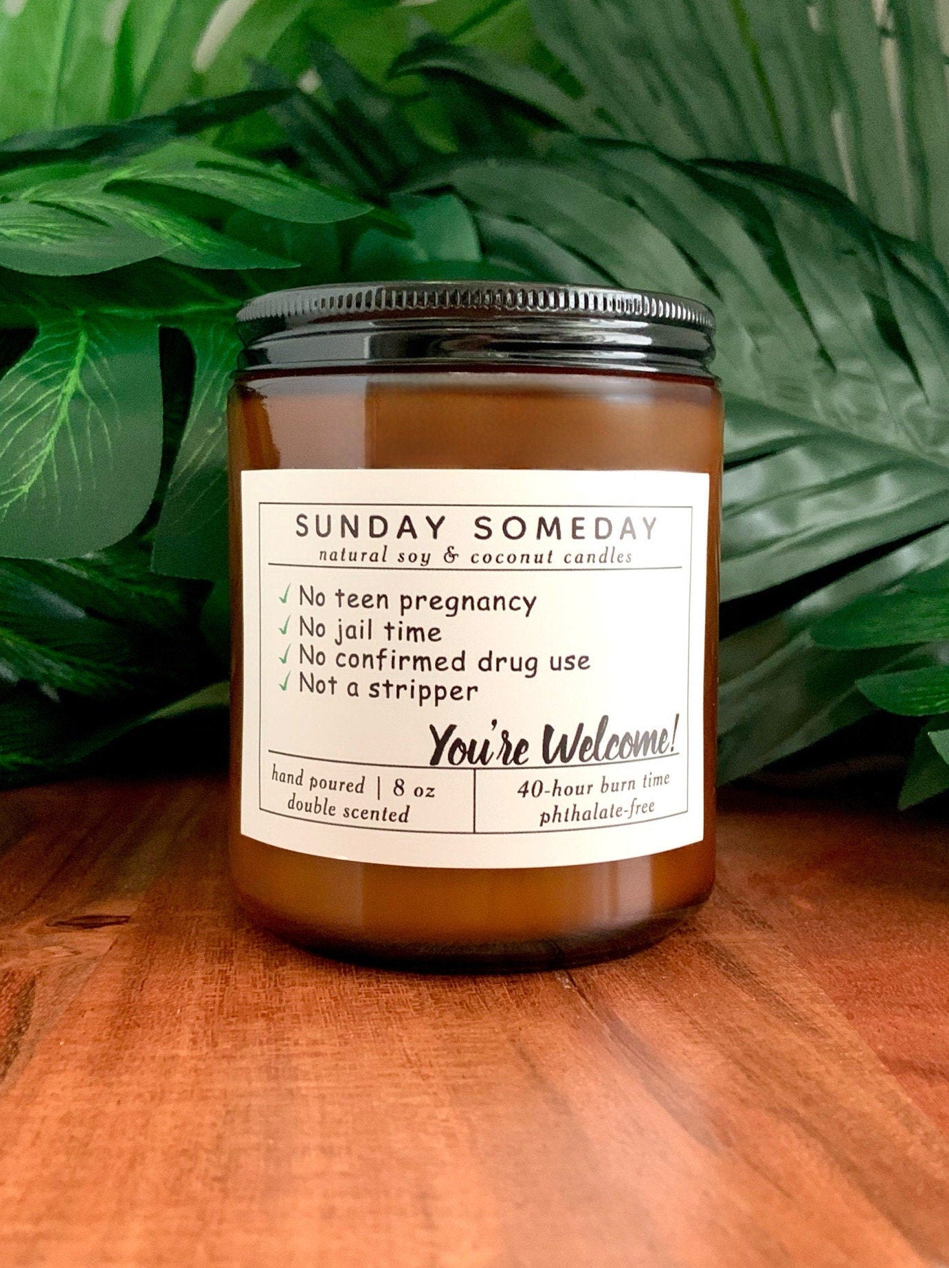 No teen pregnancy No jail No drugs Not a stripper - You're Welcome | Father's Day | Dad Gifts | Candle | 15+ Scents | SUNDAY SOMEDAY | 8 oz
