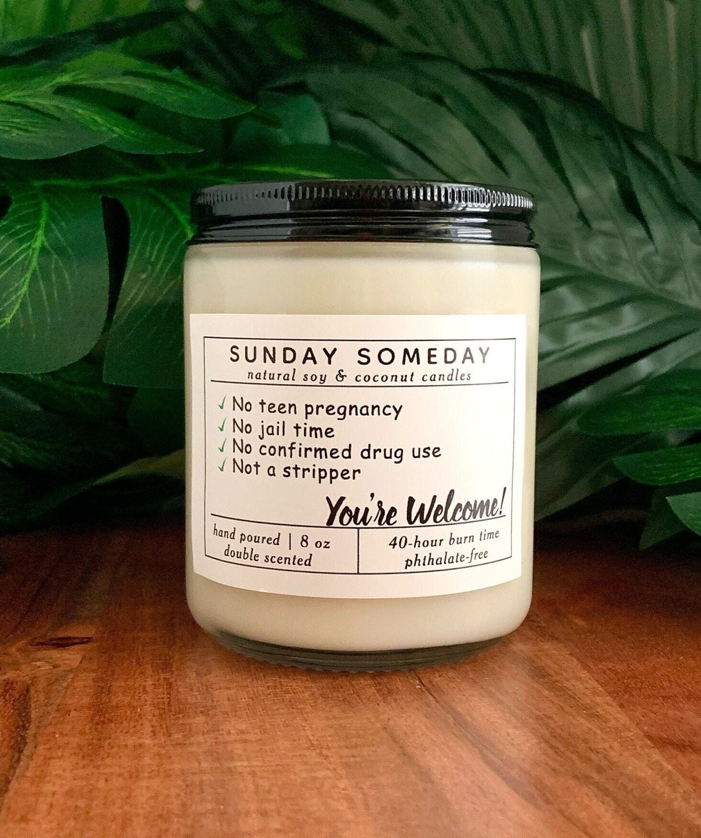 No teen pregnancy No jail No drugs Not a stripper - You're Welcome | Father's Day | Dad Gifts | Candle | 15+ Scents | SUNDAY SOMEDAY | 8 oz