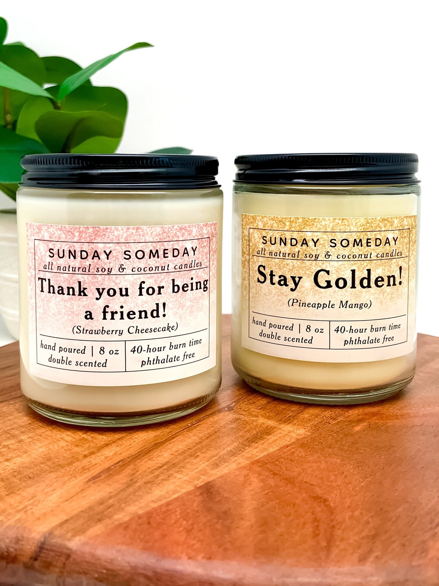 Golden Girls candles | Strawberry Cheesecake and Pineapple Mango | Single or Set | Gift | Friends | Soy & Coconut Wax | Non-Toxic | 8 oz